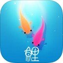 鲤iPad版 V1.0.0