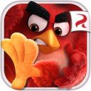 愤怒的小鸟行动iPad版 V1.6.0