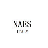 NAES v1.0