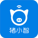 猪小智 v2.4.8