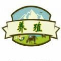 养殖分红 v1.0.3