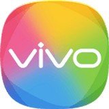 vivo服务安全插件 v2.0.9