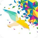 一个奇鸽app v1.6.8