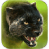 猎豹模拟器OL破解版 v1.2