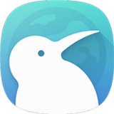 Kiwi浏览器 v1.0