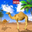 沙漠骆驼模拟器2021 v1.1